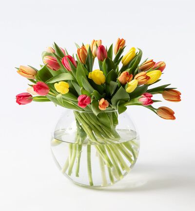 30 tulipaner varme farger
